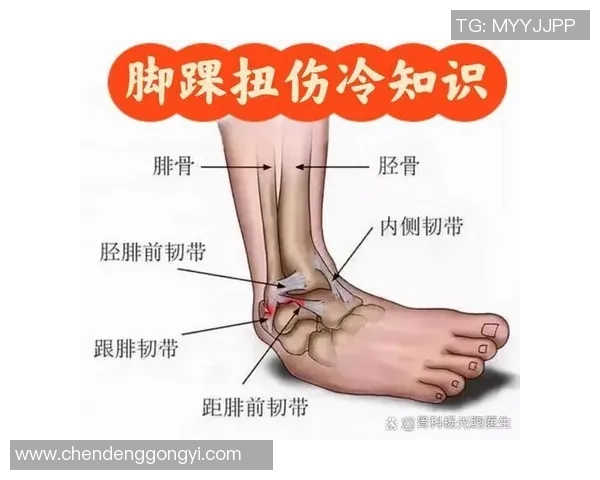 足球脚踝骨受伤的常见原因及有效预防和康复方法解析
